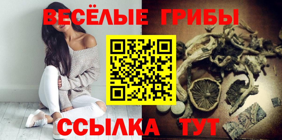 Чайковский  Галлюциногенные грибы прущие грибы  Псилоцибиновые грибы Psilocybe  Вход с VPN 