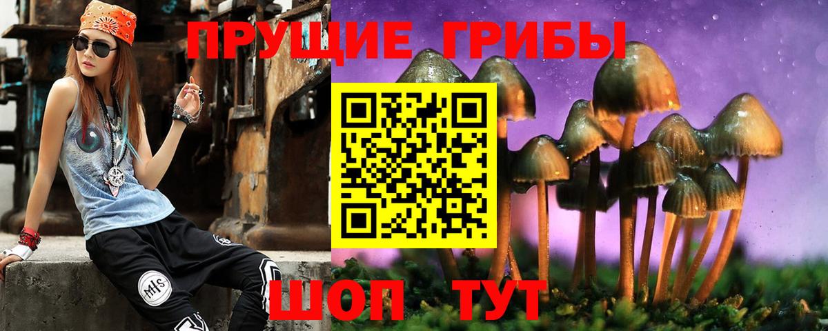 Псилоцибиновые грибы Psilocybe Чайковский